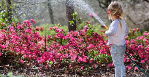 Water Conservation in outdoor watering