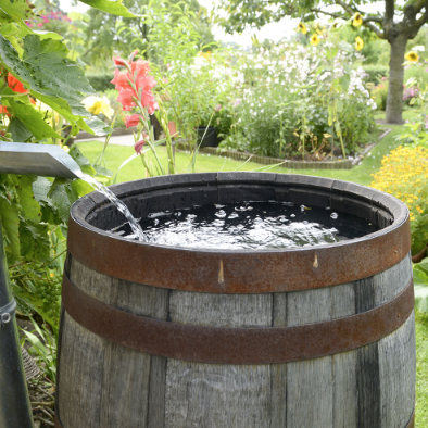 How to Use a Rain Barrel - Eco Actions